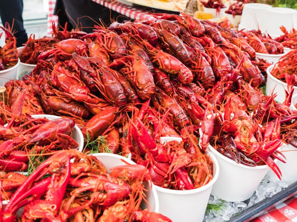 Người dân Phần Lan thường tổ chức những bức tiệc tôm hùm "xa xỉ" vào cuối mùa hè và đầu mùa thu.