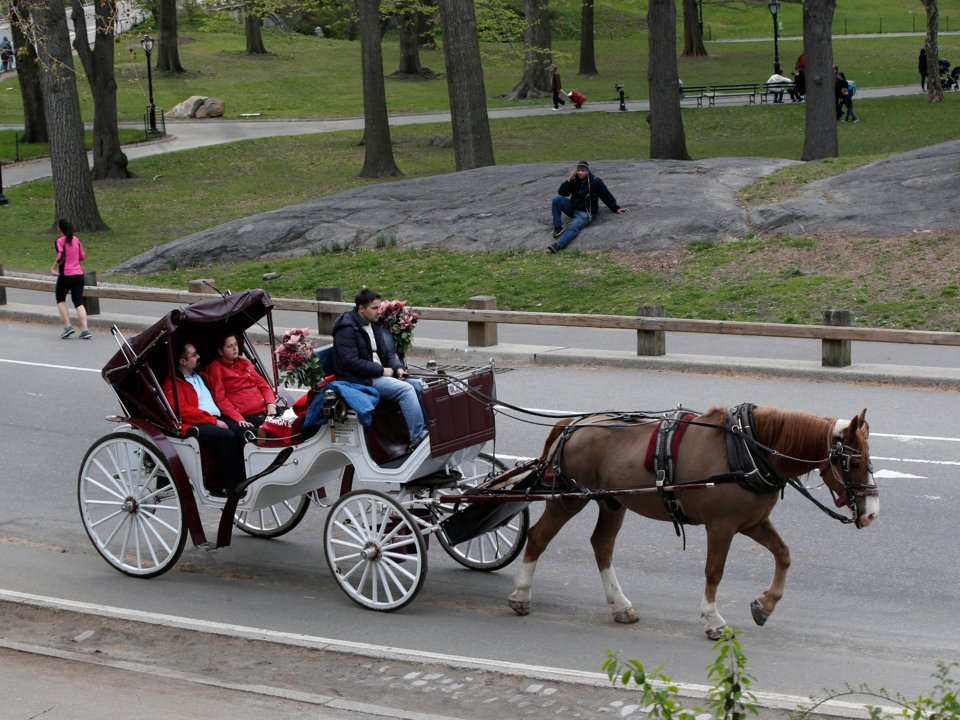 Ngày nay, xe ngựa kéo vẫn là một trong những phương tiện tiện lợi nhất để tham quan khắp công viên này.