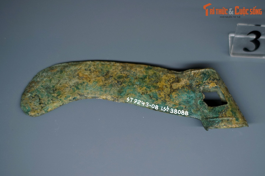  10. Để lại dấu ấn sâu đậm trong lịch sử. Sau hàng ngàn năm, thời đại Hùng Vương vẫn được xem là nền tảng cho văn hóa và lịch sử Việt Nam, được người dân tôn kính và nhắc nhở qua nhiều thế hệ. Ảnh: Đền tưởng niệm các Vua Hùng ở quận 9, TP HCM, là đền thờ vua Hùng quy mô lớn nhất miền Nam.