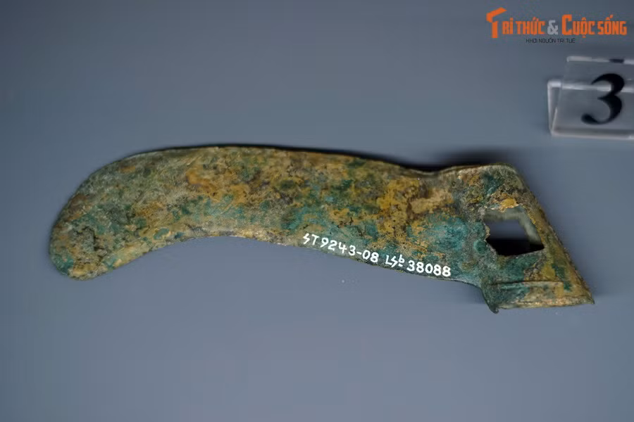  10. Để lại dấu ấn sâu đậm trong lịch sử. Sau hàng ngàn năm, thời đại Hùng Vương vẫn được xem là nền tảng cho văn hóa và lịch sử Việt Nam, được người dân tôn kính và nhắc nhở qua nhiều thế hệ. Ảnh: Đền tưởng niệm các Vua Hùng ở quận 9, TP HCM, là đền thờ vua Hùng quy mô lớn nhất miền Nam.