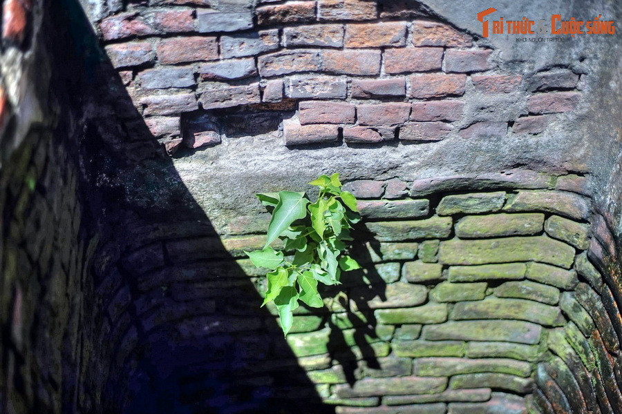 Dù thành giếng đã được xây mới, sâu trong lòng giếng vẫn là những lớp gạch Chăm cổ liên kết với nhau một cách chắc chắn mà không dùng vôi vữa. Dưới chân giếng là khung gỗ lim rộng bản, tồn tại cả ngàn năm nay.