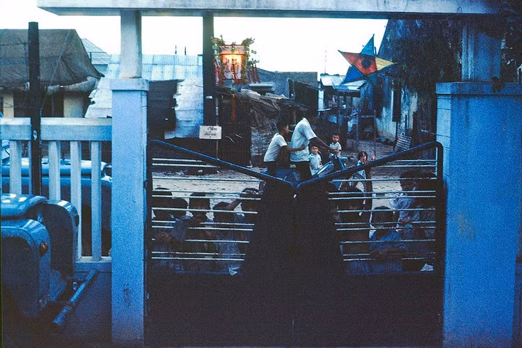 Trẻ em tụ tập xin kẹo bên ngoài công sở Mỹ ở Quy Nhơn dịp Tết Trung thu 1969. Ảnh: NZST.