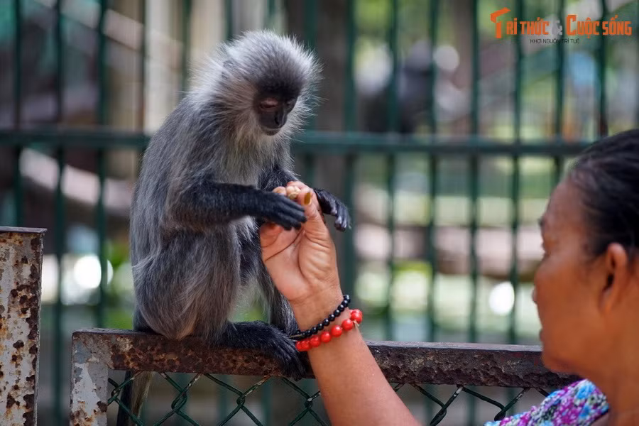  3. Thảo Cầm Viên Sài Gòn. Là một trong những sở thú lâu đời nhất ở Đông Nam Á, Thảo Cầm Viên Sài Gòn không chỉ là nơi bảo tồn hàng trăm loài động thực vật quý hiếm, mà còn là không gian xanh lý tưởng để thư giãn giữa lòng thành phố nhộn nhịp.