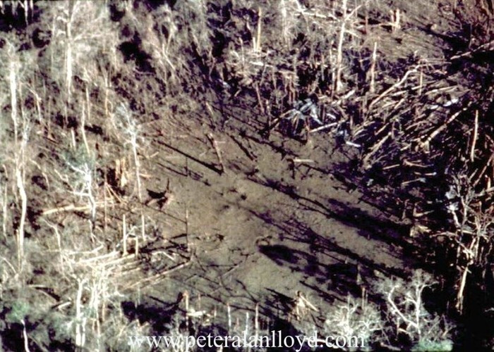 Cận cảnh một khu vực trống được tạo ra sau vụ nổ bom BLU-82/B ở rừng rậm Việt Nam. Ảnh: Peteralanlloy.com.