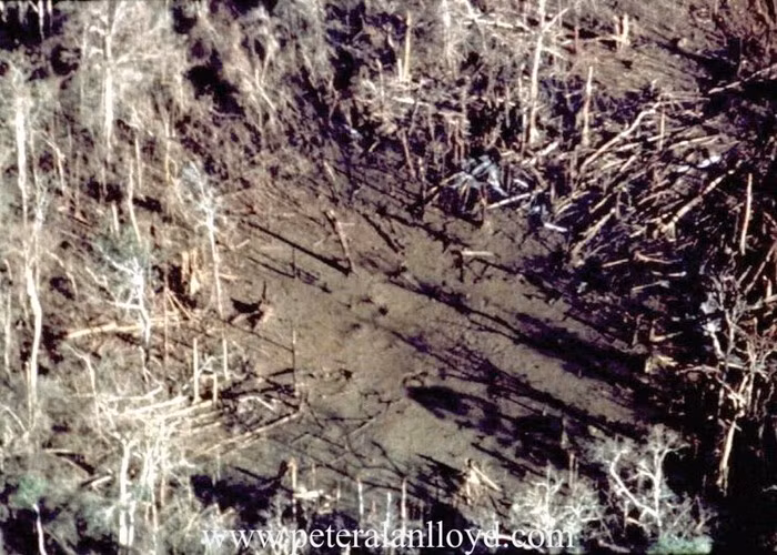 Cận cảnh một khu vực trống được tạo ra sau vụ nổ bom BLU-82/B ở rừng rậm Việt Nam. Ảnh: Peteralanlloy.com.