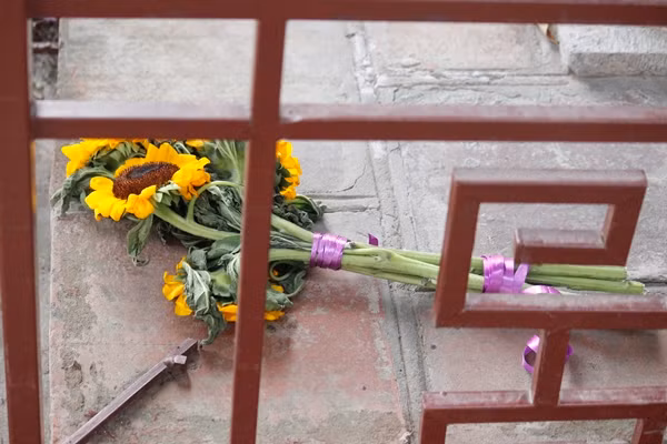 Bó hoa hướng dương mà sinh viên mang theo chụp ảnh bị vứt lại bên trong hàng rào bia tiến sỹ.