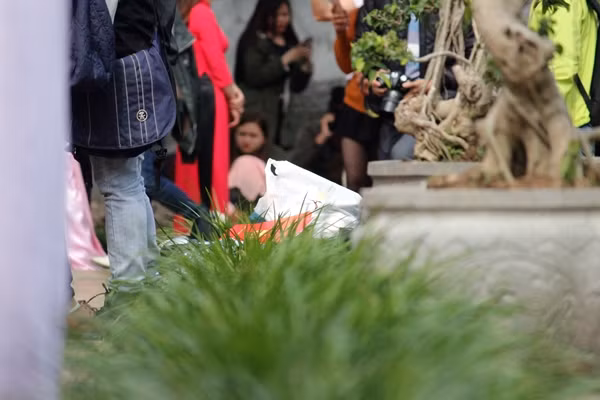 Do đồ đạc mang theo nhiều, lỉnh kỉnh nên nhiều sinh viên đặt lên hàng cỏ xanh.