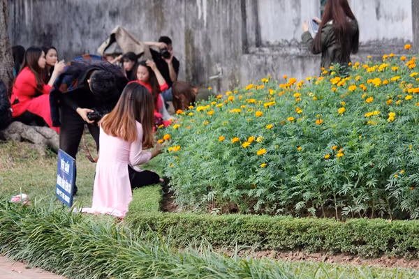 Không chỉ có nam sinh mà những nữ sinh cũng giẫm đạp, ngồi lên cỏ, hoa để chụp ảnh cho dù “biển cấm” đã được cắm rõ ràng, ai cũng có thể nhìn thấy.