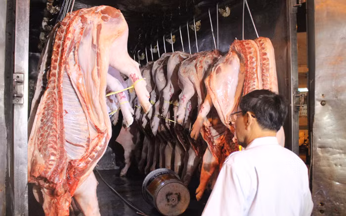 Ngoài thịt lợn thì nội tạng lợn như tim, gan, phổi, lòng, dạ dày, tiết… đều có thể ăn được. Một số bộ phận được cho là “bẩn” và hại cho sức khoẻ nhưng vẫn được rất nhiều người yêu thích. 