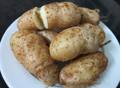 Củ khoai từ: Đông y quan niệm củ khoai từ có tính bình, giàu carbohydrate, protein, vitamin B, vitamin C, vitamin E và đặc biệt là các thành phần trong chất nhớt dính… Vì thế đây là loại củ có lợi cho thận, lá lách và dạ dày. 