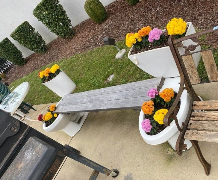 Dùng bồn cầu trồng hoa là một ý tưởng “cực độc”.