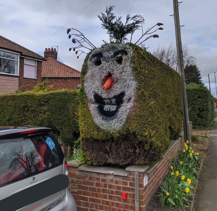 “Cái bồn cây này tôi bắt gặp trong khu phố khi đi dạo”, người đăng bức ảnh viết.