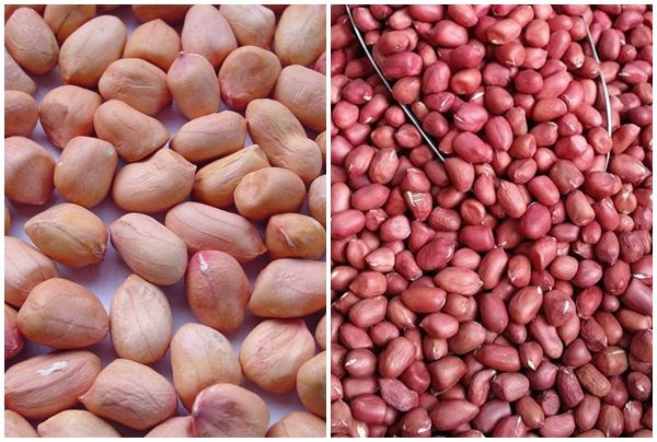 3. Hạt lạc khô: Hạt lạc là thực phẩm chứa nhiều chất béo, vitamin tốt cho sức khỏe. Tuy nhiên, nó không thích hợp để bảo quản trong tủ lạnh. Nguyên nhân chính là do tủ lạnh sẽ hút độ ẩm trong lạc. 