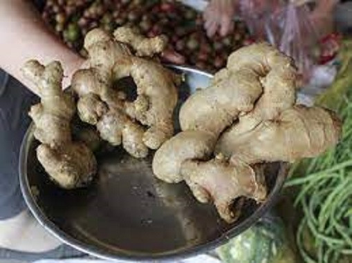 Tác dụng của gừng ngâm giấm: 1. Gừng ngâm giấm trắng có giúp chữa tỳ vị hư nhược, đầy bụng khó tiêu, chướng bụng, nấc cụt,…. 2. Gừng ngâm giấm trắng có thể thúc đẩy tuần hoàn máu, chữa cảm lạnh và tăng sức đề kháng.