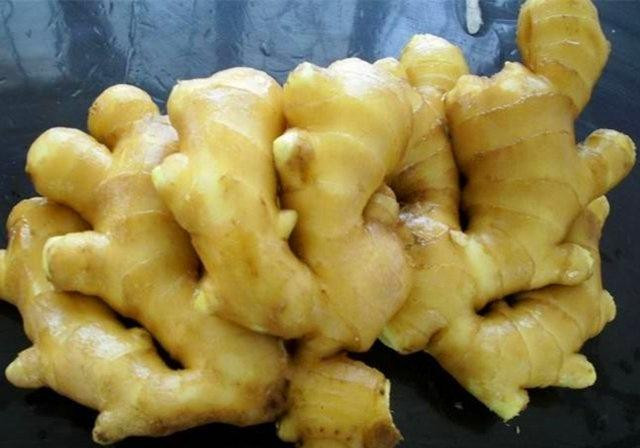 Kiểm soát cân nặng và lượng đường trong máu: Gừng có thể làm tăng cảm giác no và giảm hấp thụ carbohydrate, dẫn đến giảm cân và kiểm soát lượng đường trong máu tốt hơn, đặc biệt có ích cho người mắc bệnh tiểu đường loại 2 hoặc tiền tiểu đường.