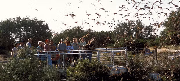 Cái tên này bắt nguồn từ việc cổng trời khổng lồ này là địa điểm sống lý tưởng của hàng ngàn con dơi. Vào mùa hè, mỗi buổi chiều, người ta có thể thấy những đàn dơi cực lớn bay ra từ chiếc hồ kỳ bí này.