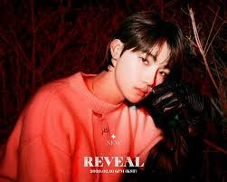 Giống như nhiều thần tượng K-Pop khác, cái tên "New" là một thách thức đối với những công cụ tìm kiếm. Đó là nghệ danh của một thành viên trong The Boyz.