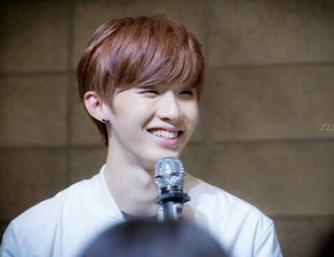 Khi tìm kiếm "Sign" trên internet, bạn có thể nhận về hơn 16 triệu kết quả, lấn át những thông tin khác về Sign - thành viên nhóm MAP6.