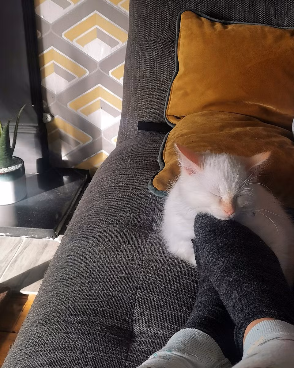 "Thần mèo" ngồi trên mây phiên bản ngày bé.