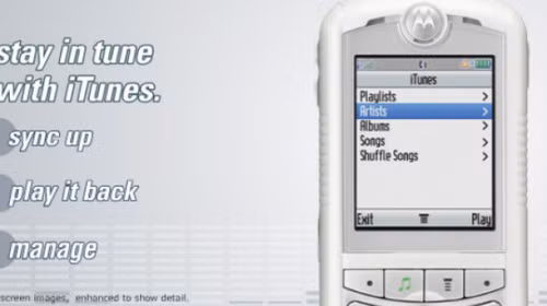 Jobs từng miêu tả nó như một chiếc iPod Shuffle bên trong một chiếc điện thoại. ROKR chỉ có khả năng lưu trữ 100 bài nhạc và thực tế thì bạn cũng không thể lưu trữ thêm quá nhiều thông tin thông qua thẻ nhớ 512 MB mà nó hỗ trợ.