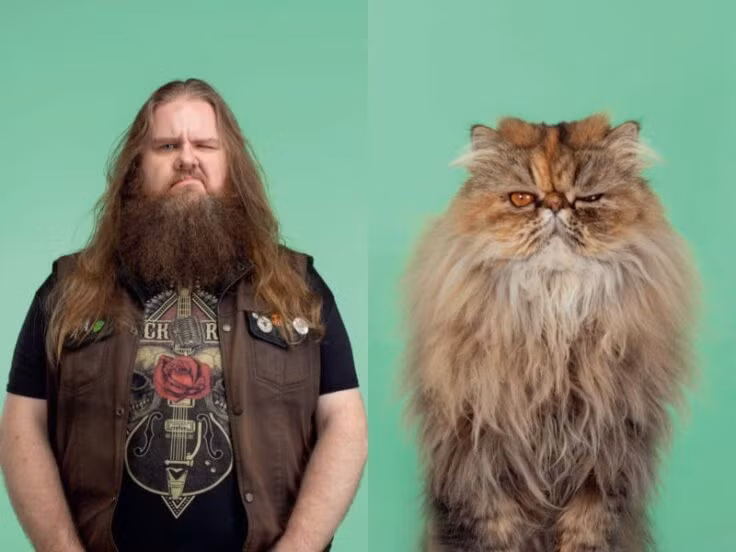 "Khoảng 50 thẻ thể hiện hình ảnh thú vị về mèo và chủ nhân, cùng những lời văn hài hước cung cấp manh mối về 25 người chủ và mèo cưng. Trò chơi ghép cặp tăng thêm phần giải trí và cải thiện trí nhớ. Ai thu được nhiều cặp sẽ giành chiến thắng", Gerrard Gethings chia sẻ về trò chơi của mình.