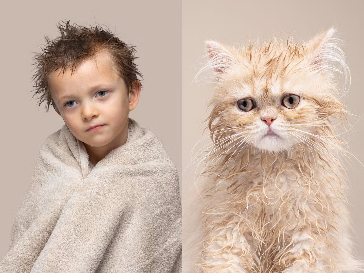 Gethings cũng tạo ra sản phẩm trò chơi ghép cặp từ những bức ảnh của mình, giống như game trên smartphone hay máy tính. Mỗi bức ảnh được in trên tấm card và người chơi cố gắng lấy được càng nhiều đôi giống nhau càng tốt.