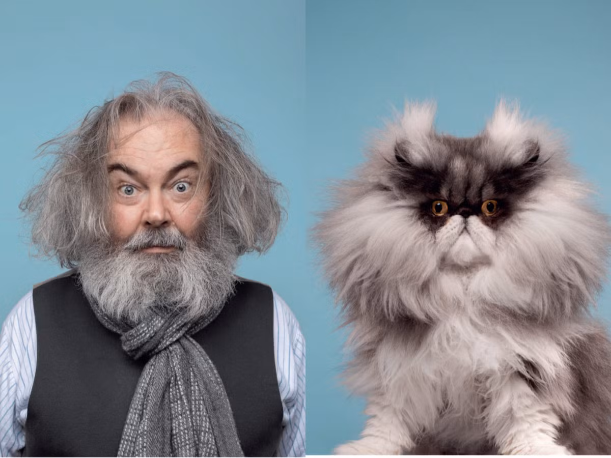 Anh tìm kiếm và ghi lại nhiều hình ảnh cho thấy người và mèo cưng có những đặc điểm, tư thế hoặc biểu cảm giống nhau.