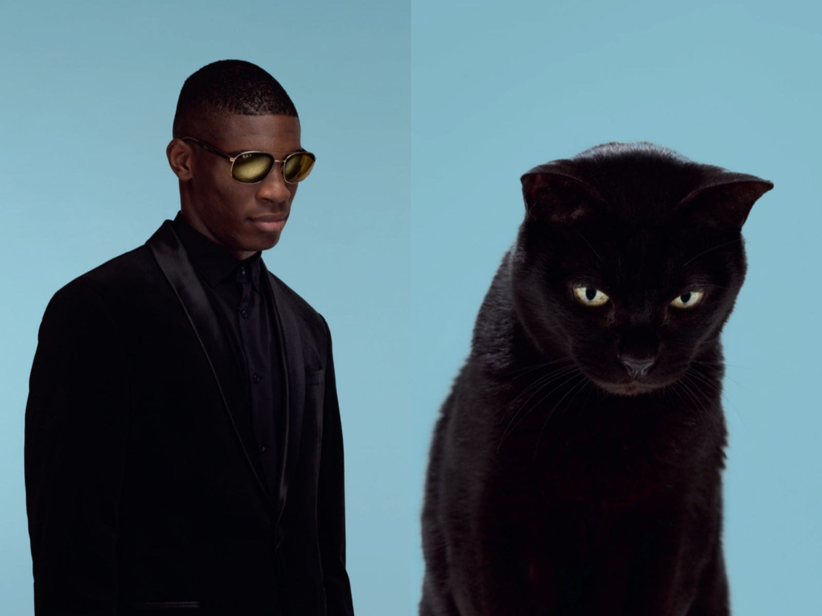 Gethings đã cố gắng gói gọn một cách hoàn hảo toàn bộ cảm xúc trên khuôn mặt mèo, từ hoang mang, bối rối đến ánh mắt đơn thuần, ranh mãnh. Những chú mèo mà anh lựa chọn trong bộ ảnh động vật "chủ nào tớ nấy" cũng vô cùng đa dạng.