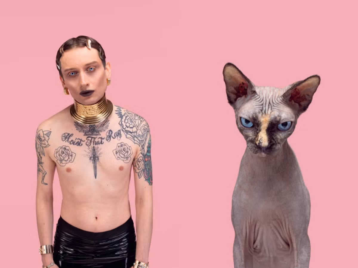 Việc ghép cặp đôi, lúc mới nghe nhiều người có vẻ cho đó là chuyện ngớ ngẩn nhưng với Gethings, anh coi trọng công việc của mình. Và đây chính là kết quả mà nhiếp ảnh gia này đạt được.