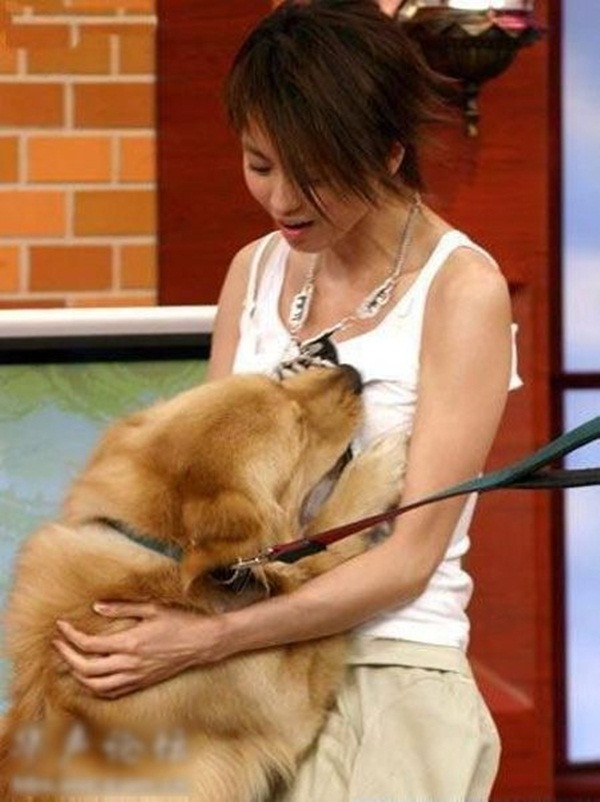 Chú chó này chỉ đang nghịch tấm thẻ đeo cổ của chủ nhân nhưng bị lầm tưởng là sàm sỡ cô.