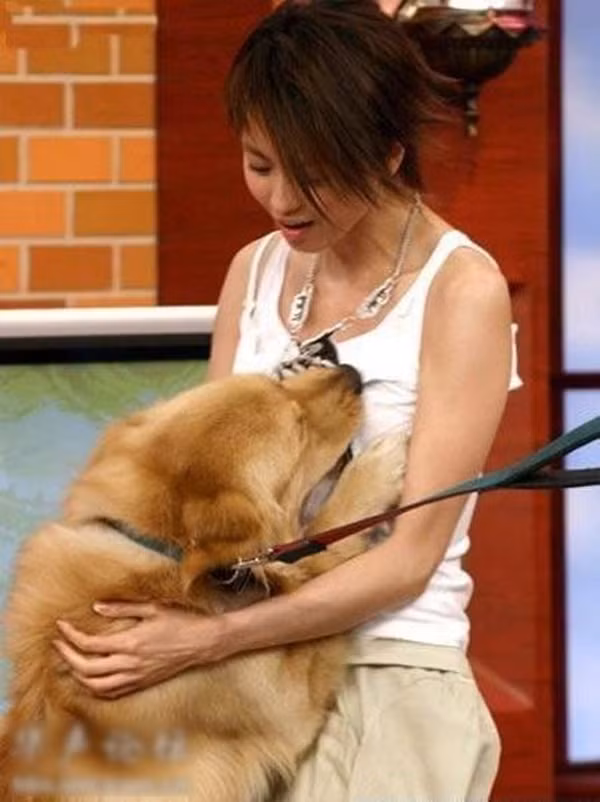 Chú chó này chỉ đang nghịch tấm thẻ đeo cổ của chủ nhân nhưng bị lầm tưởng là sàm sỡ cô.