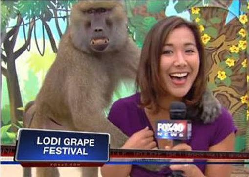 Ngay cả khi trên sóng truyền hình cũng không buông tha.