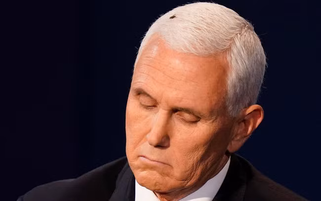 "Ngôi sao ruồi đen" lập tức nổi như cồn trên mạng xã hội. Người dùng mạng đăng tải bức ảnh con ruồi trên tóc ông Pence kèm teo những bình luận hóm hỉnh như: ''Con ruồi chính trị'', ''Hãy để chú ruồi lên tiếng'',...