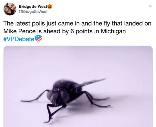Theo BBC, cụm từ "con ruồi" đã được tweet và retweet hơn 700.000 lần kể từ khi nó bắt đầu xuất hiện.