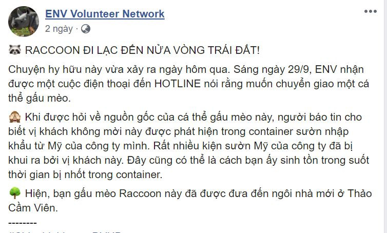 Cụ thể, trên fanpage của Trung tâm Giáo dục Thiên nhiên (ENV) - tổ chức bảo tồn thiên nhiên, hoạt động vì quyền động vật hoang dã của Việt Nam chia sẻ câu chuyện về chú gấu mèo (Racoon) đi nửa vòng trái đất từ Mỹ về Việt Nam.