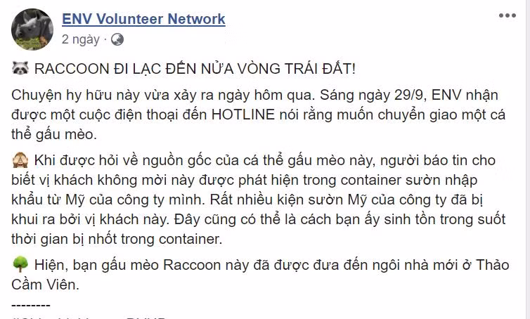Cụ thể, trên fanpage của Trung tâm Giáo dục Thiên nhiên (ENV) - tổ chức bảo tồn thiên nhiên, hoạt động vì quyền động vật hoang dã của Việt Nam chia sẻ câu chuyện về chú gấu mèo (Racoon) đi nửa vòng trái đất từ Mỹ về Việt Nam.