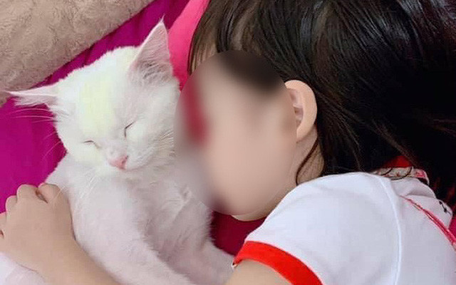 Theo chia sẻ của người nhà cháu bé, tivi của gia đình có kết nối Internet nên có thể bật YouTube trên tivi, các cháu thường hay tự bật và xem cùng nhau. Bộ phim hoạt hình mà cháu D. thường xem trước khi xảy ra tai nạn là Peppa Pig (Tạm dịch: Cô heo Peppa).