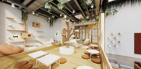 Tháng 5/2020 vừa qua, Linh Ngọc Đàm khai trương quán cafe mèo vô cùng xinh xắn sau thời gian dài dự định và ấp ủ. Nữ streamer cũng là một tay chơi chính hiệu khi không tiếc tiền tậu cho mình những món đồ hàng hiệu đắt đỏ từ các ông lớn thời trang thế giới.