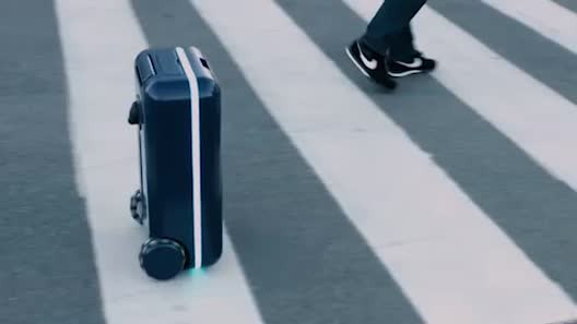 Hiện nay, trên thị trường có rất đa dạng các loại vali tự di chuyển mà bạn có thể tham khảo tìm mua. Có thể kể đến TravelMate, Modobag, Ovis hay Samsara...