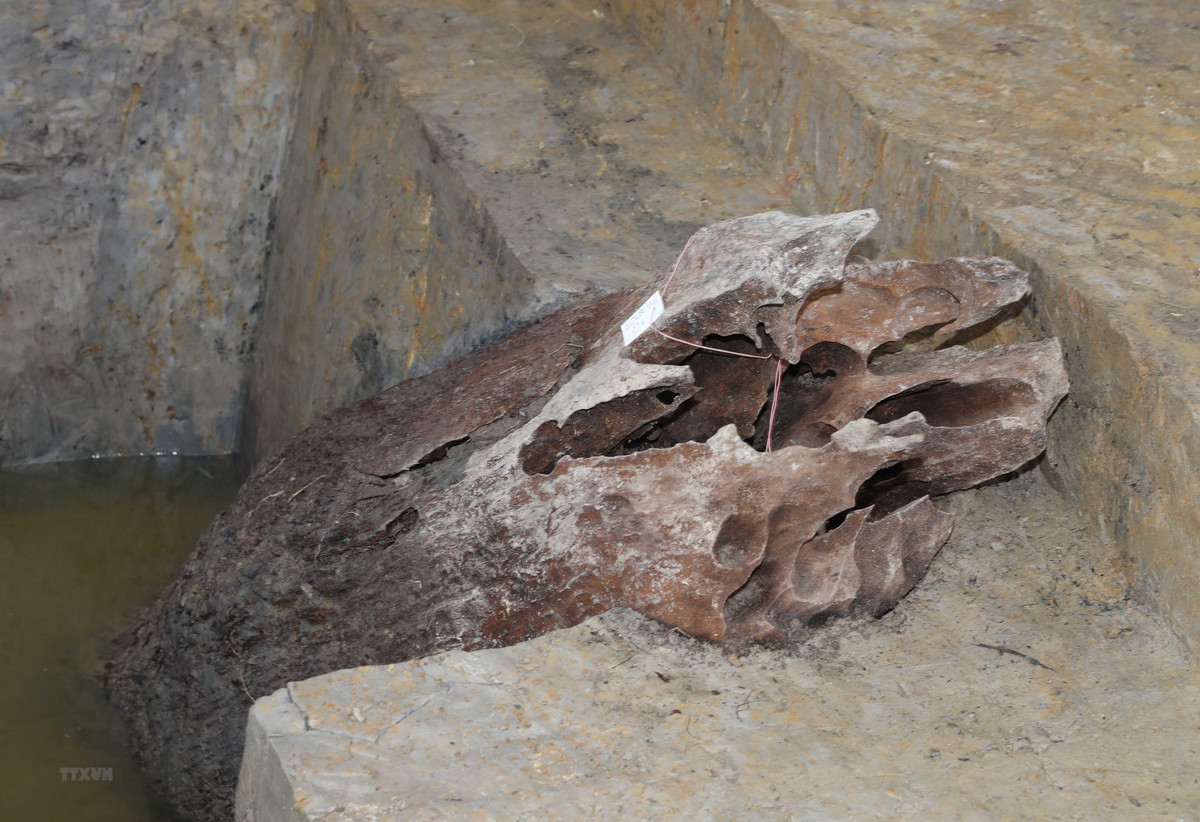 Trước những luồng ý kiến khác nhau về bãi cọc Cao Quỳ, TS Bùi Văn Hiếu, Phó giám đốc phụ trách Trung tâm nghiên cứu Khảo cổ học dưới nước (Viện Khảo cổ học), Trưởng tiểu ban khảo cổ học dưới nước, cho rằng cần tiếp tục nghiên cứu liên ngành thì mới có góc nhìn rõ ràng.