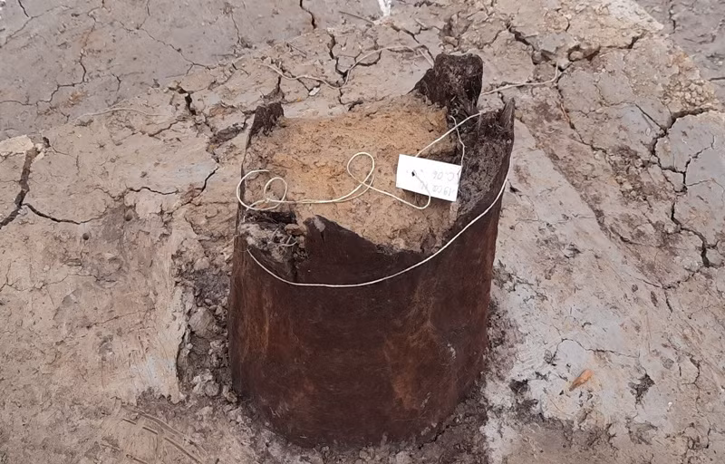 Những hố khai quật phát hiện các hố cọc rất thẳng hàng, thẳng trục, điều đó cho thấy đây có thể là di tích một kiến trúc gỗ. Lại có ý kiến cho rằng nếu là cọc thì phải đóng xuống vũng lầy, nhưng hình ảnh đưa ra thì hầu hết các cọc đều được chôn, tức là không phải ở dưới nước.