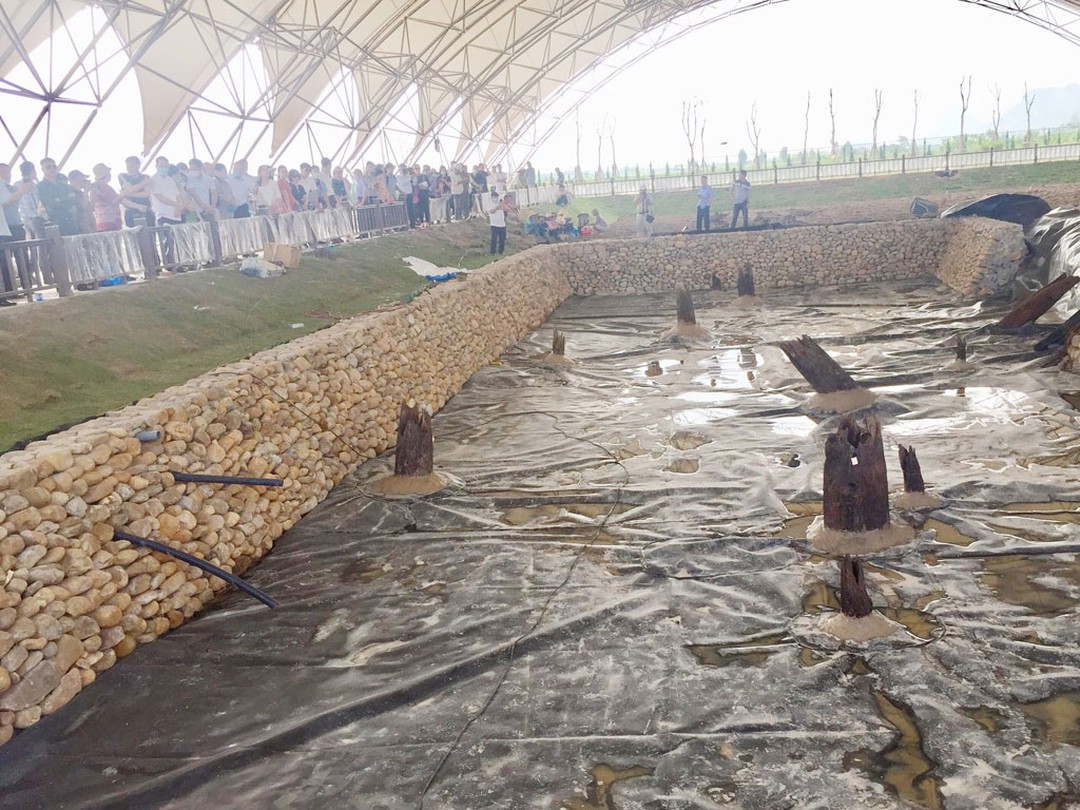 Trước đó, ngày 1/10/2019 trong quá trình đào vườn tại cánh đồng Cao Quỳ, người dân phát hiện 2 cọc gỗ dài hơn 3 m, đường kính hơn 30 cm. Người dân cho rằng đây có thể là cọc gỗ liên quan đến các trận đánh trên sông Bạch Đằng nên báo cơ quan chức năng khai quật khảo cổ.