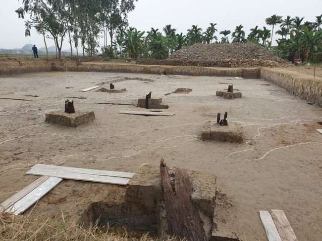 Niên đại các mẫu gỗ được gửi về tương đối khác nhau nhưng đều thuộc về loại cây thân cổ. Hầu hết có kích thước lớn và niên đại cách đây chừng hơn 700 năm, một số có thể tận dụng lại các cây (cọc) của thời trước đó.