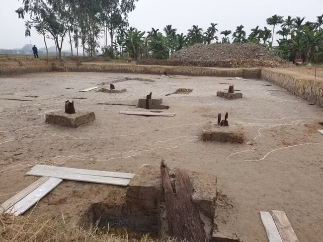 Niên đại các mẫu gỗ được gửi về tương đối khác nhau nhưng đều thuộc về loại cây thân cổ. Hầu hết có kích thước lớn và niên đại cách đây chừng hơn 700 năm, một số có thể tận dụng lại các cây (cọc) của thời trước đó.