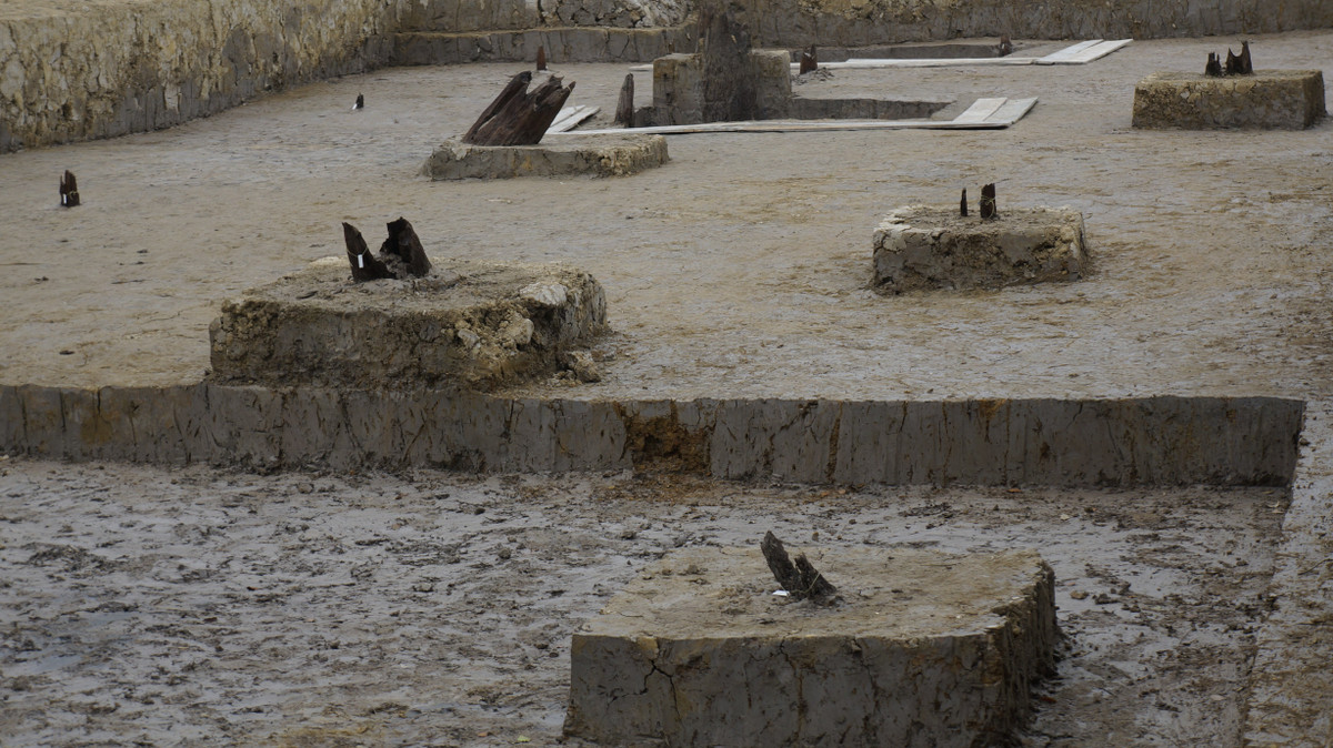 Ông cũng cho rằng, kết quả C14 chỉ là một căn cứ để nghiên cứu, không phải là mấu chốt để kết luận niên đại bãi cọc. Điều quan trọng nhất để xác định bãi cọc Cao Quỳ thuộc trận địa 1288 hay không là niên đại, song đến giờ chưa khẳng định được niên đại của bãi cọc.