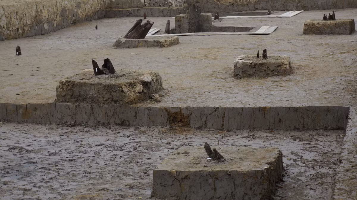 Ông cũng cho rằng, kết quả C14 chỉ là một căn cứ để nghiên cứu, không phải là mấu chốt để kết luận niên đại bãi cọc. Điều quan trọng nhất để xác định bãi cọc Cao Quỳ thuộc trận địa 1288 hay không là niên đại, song đến giờ chưa khẳng định được niên đại của bãi cọc.