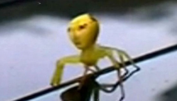 Tháng 1/2013, một loại nhện kỳ lạ được phát hiện ở Hồng Kông có phần thân giống mặt người. Đặc biệt, đây không phải là một loài vật từ sự sáng tạo của điện tử hay sản phẩm photoshop mà hoàn toàn có thật do nhân chứng kể lại.