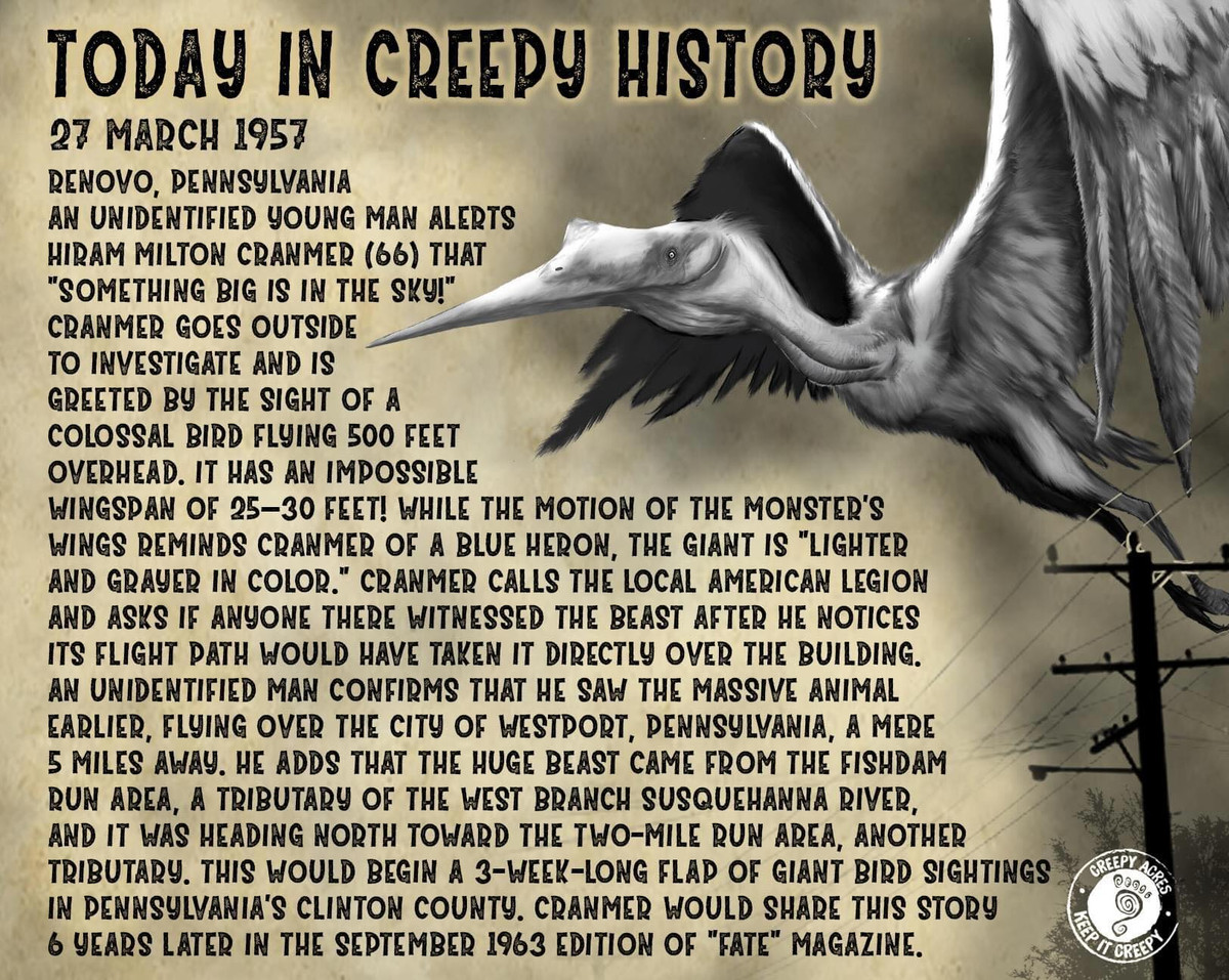 Dù không bay được xa như các loài chim hiện đại do bộ xương lớn và lông dày, nhưng đại bàng khổng lồ lại sở hữu khả năng lượn với vận tốc cao, kết hợp cùng bộ móng vuốt sắc bén có thể xé toạc con mồi chỉ trong một cú vồ.