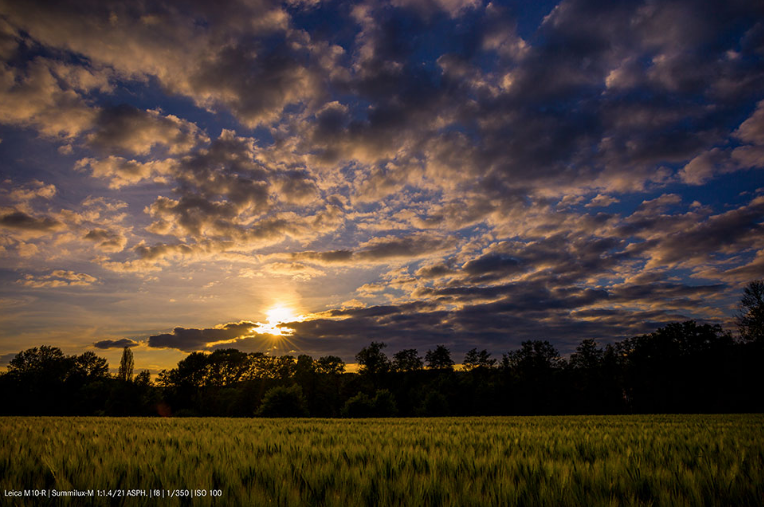 Giá đề nghị của Leica M10-R là 8.295 USD (tương đương 192 triệu VNĐ). M10-R dự kiến mở bán ngay trong cuối tháng 7/2020 với hai tuỳ chọn màu bạc và đen.