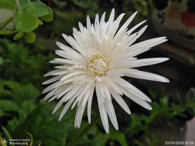 Tính năng chụp macro cận cảnh trên B86